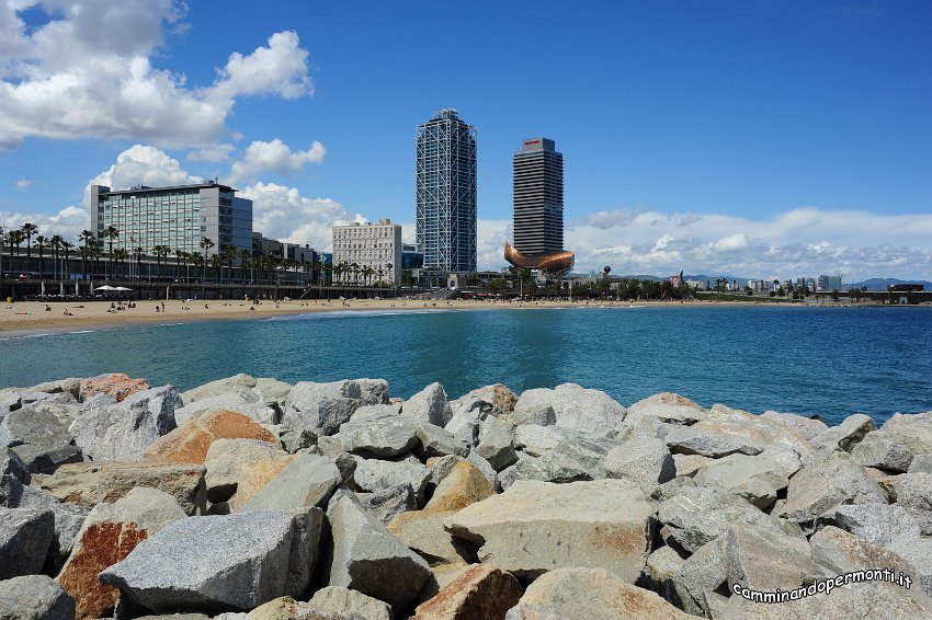 208 Spiagge di Barcellona.JPG